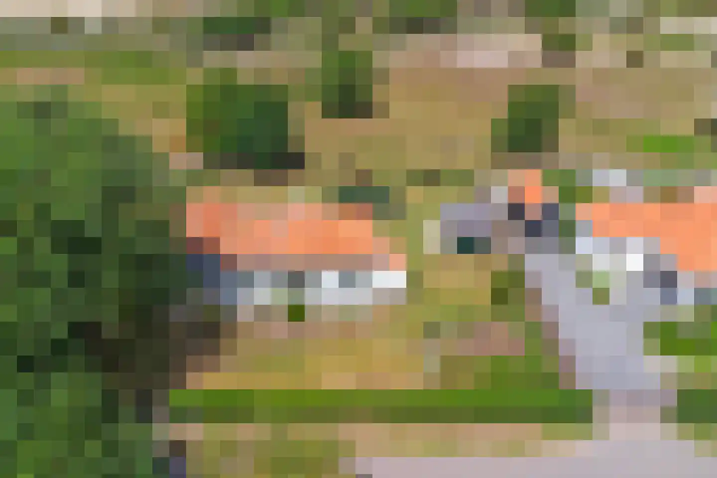 Duinweg 3 Renesse thumbnail 32