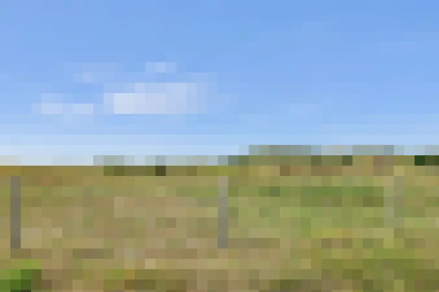 Duinweg 3 Renesse thumbnail 34