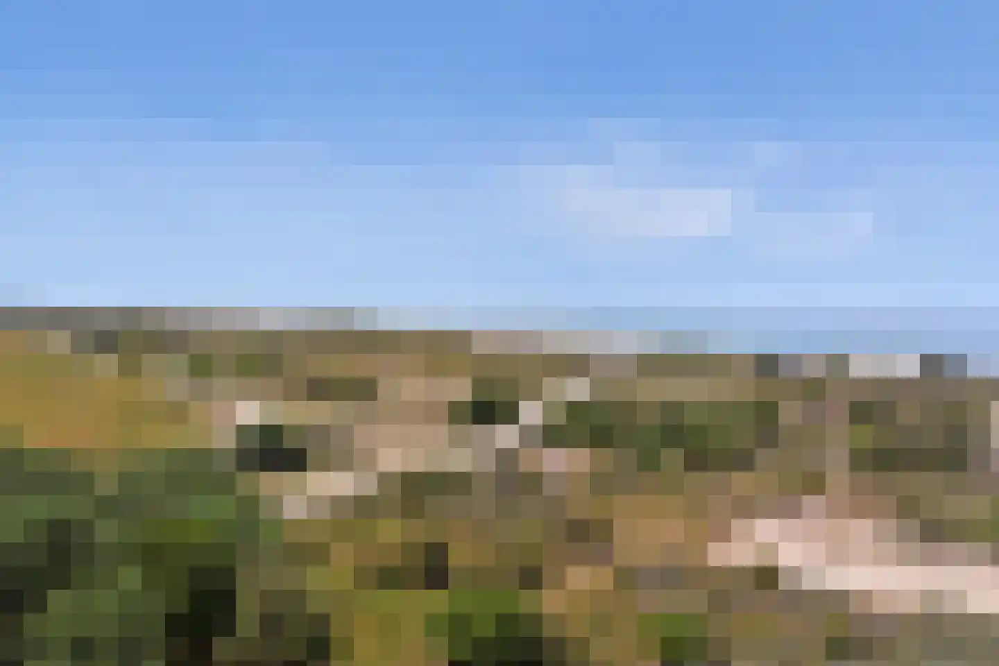 Duinweg 3 Renesse thumbnail 35