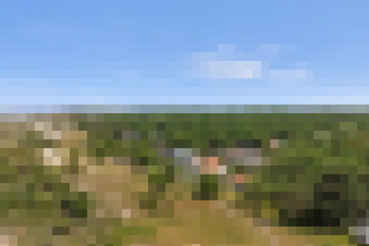 Duinweg 3 Renesse thumbnail 36