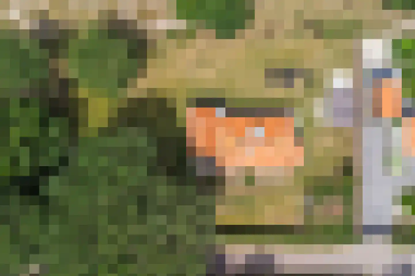 Duinweg 3 Renesse thumbnail 37
