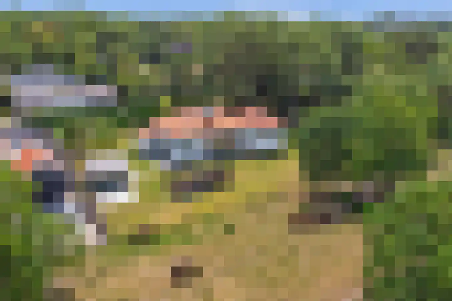 Duinweg 3 Renesse thumbnail 4