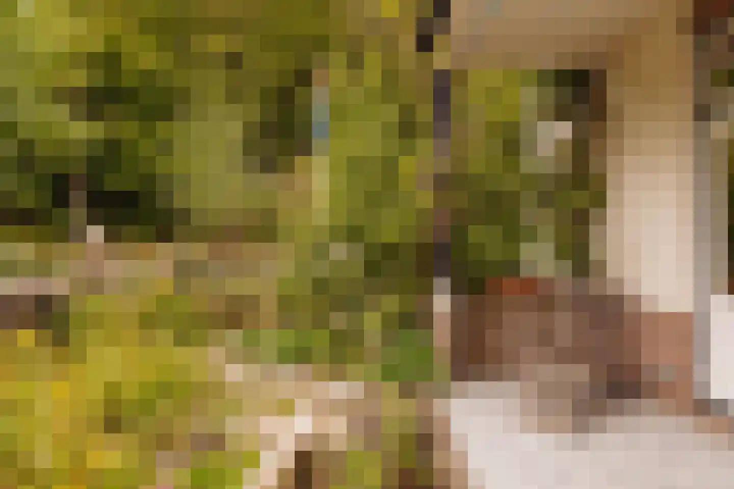 Duinweg 33 Schoorl thumbnail 13