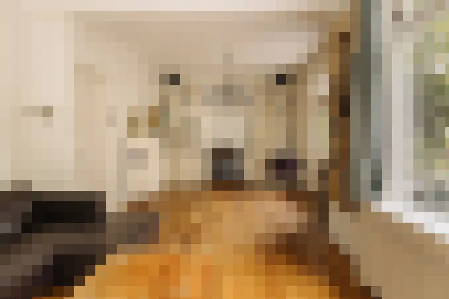 Duinweg 33 Schoorl thumbnail 18