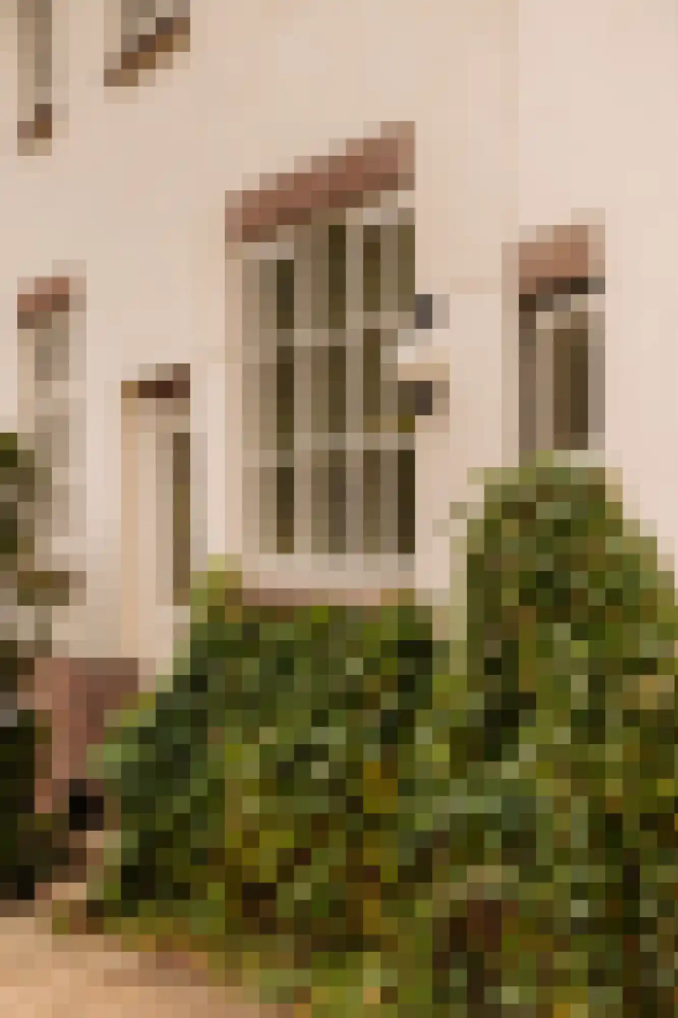 Duinweg 33 Schoorl thumbnail 21