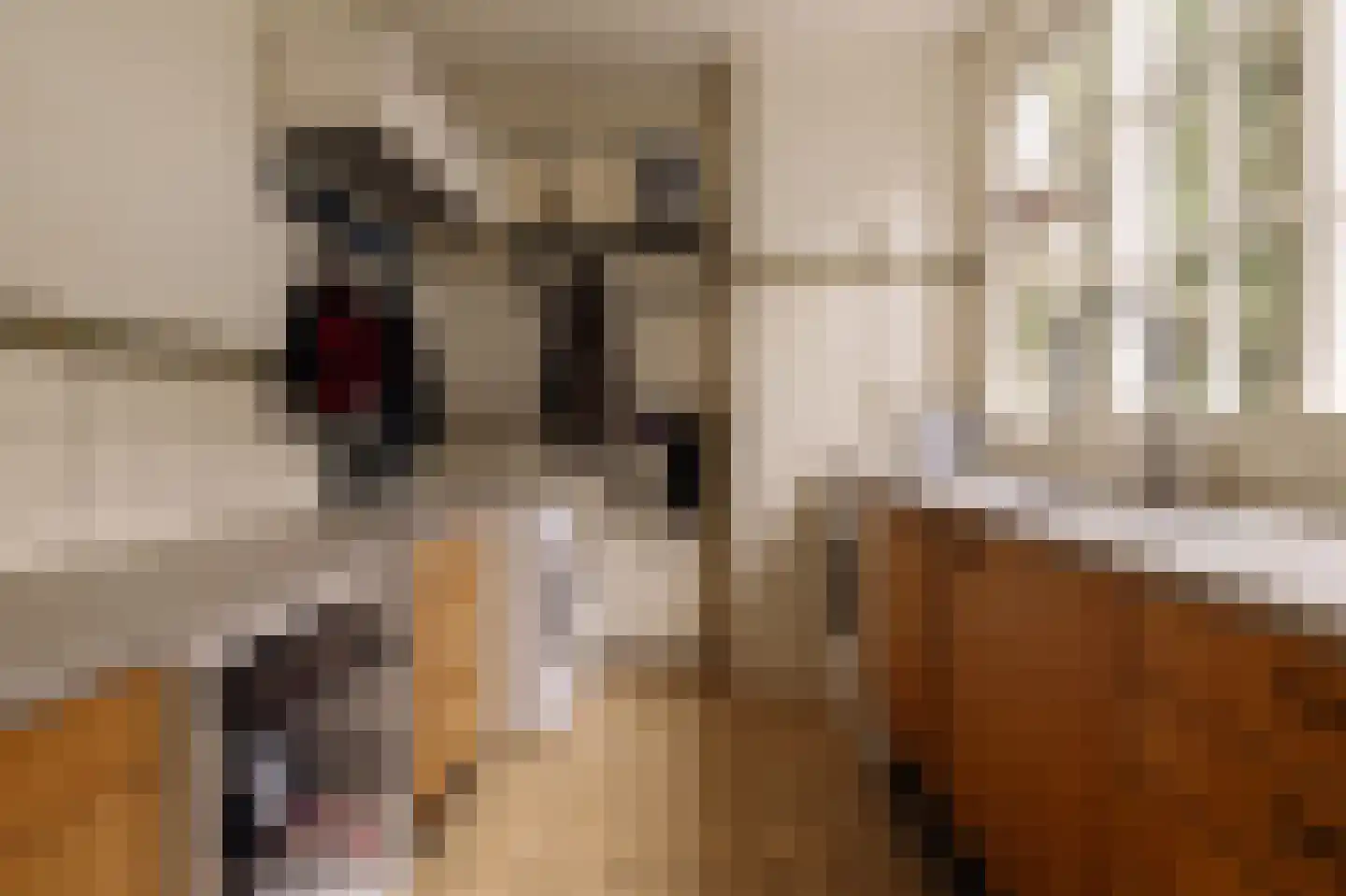 Duinweg 33 Schoorl thumbnail 22