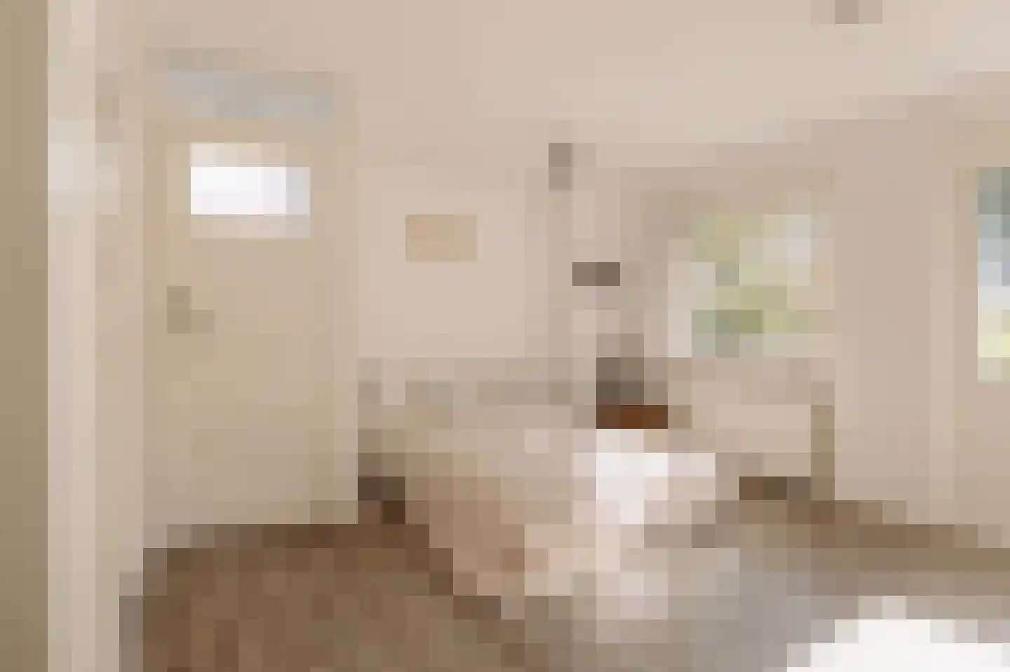 Duinweg 33 Schoorl thumbnail 25