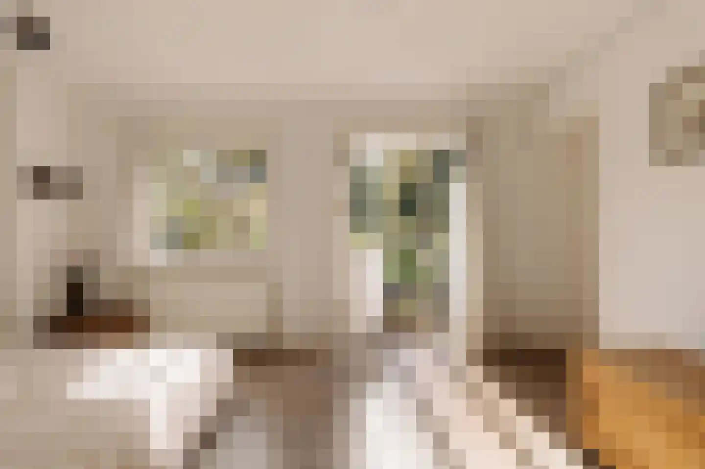 Duinweg 33 Schoorl thumbnail 28