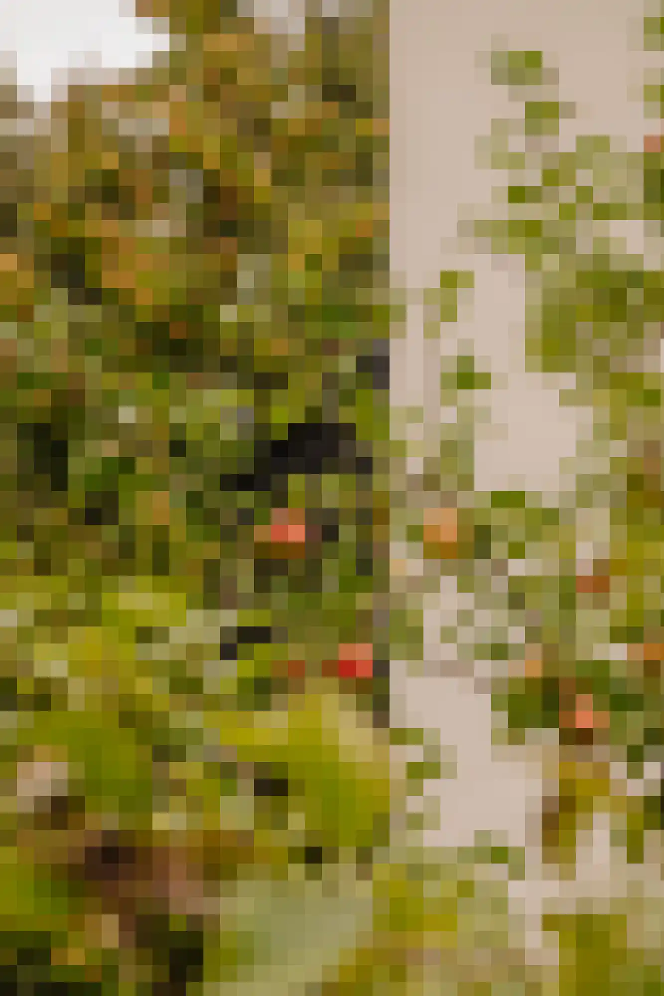 Duinweg 33 Schoorl thumbnail 29