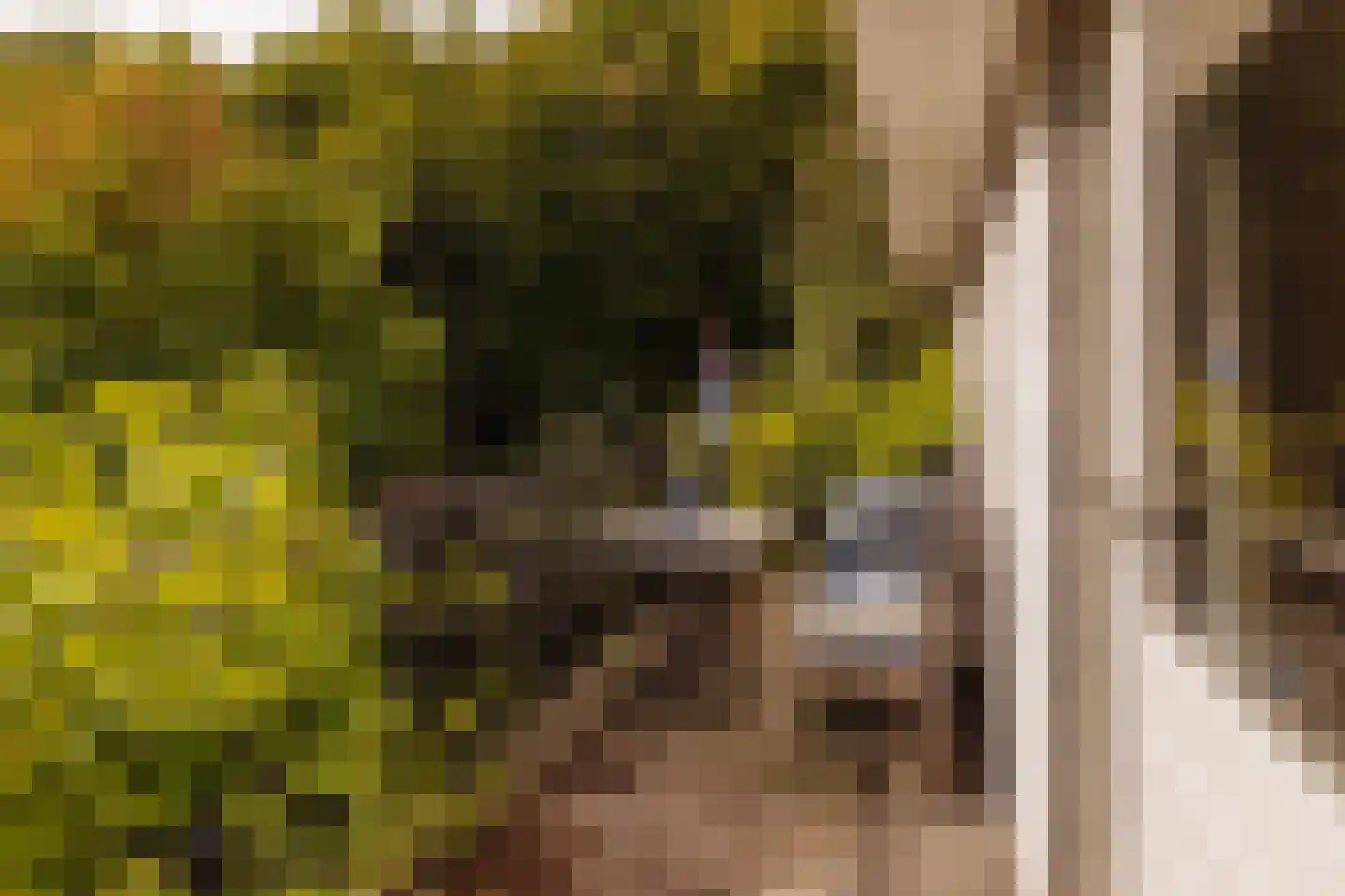 Duinweg 33 Schoorl thumbnail 4