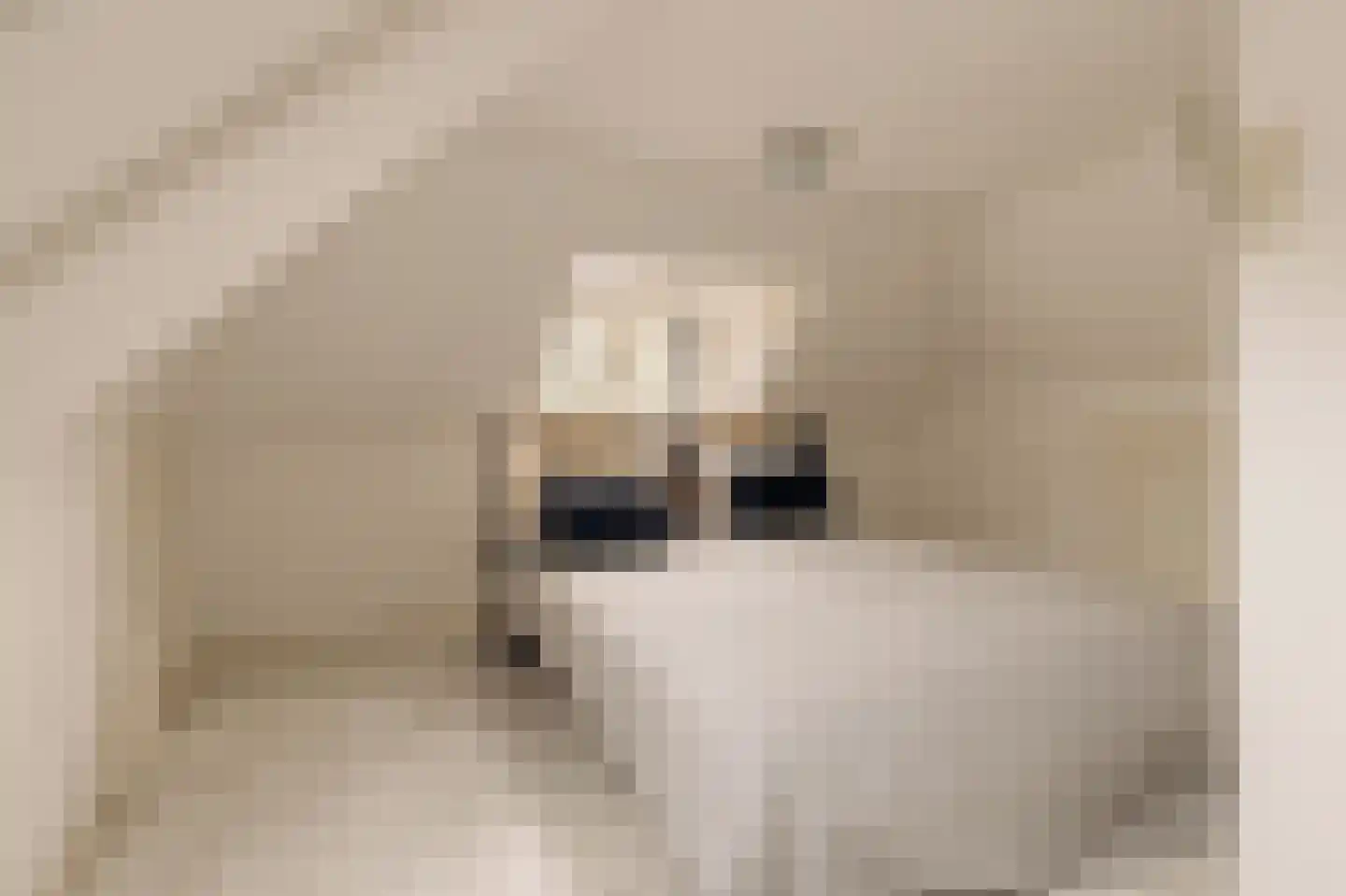 Duinweg 33 Schoorl thumbnail 42