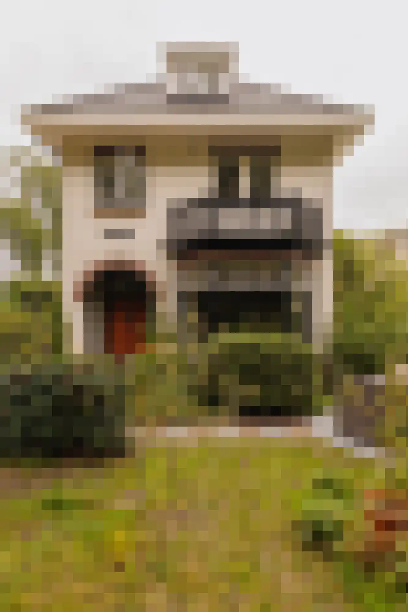 Duinweg 33 Schoorl thumbnail 5