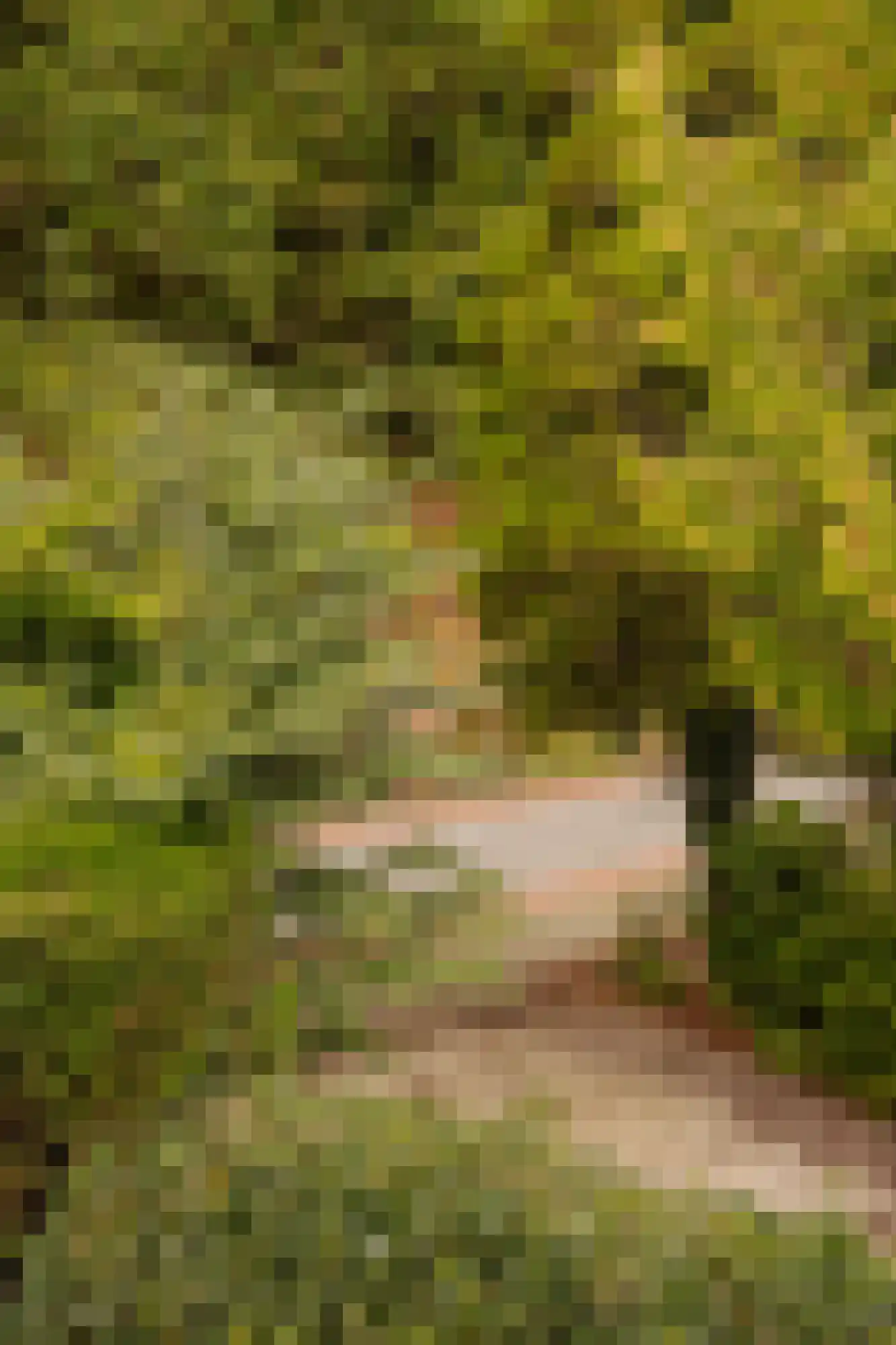 Duinweg 33 Schoorl thumbnail 50