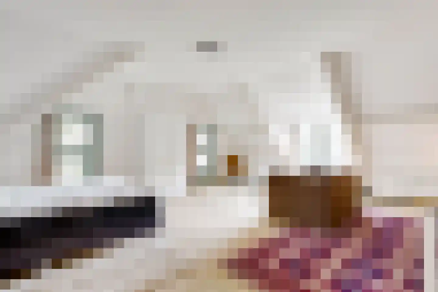 Duinweg 40 Bosch en Duin thumbnail 22