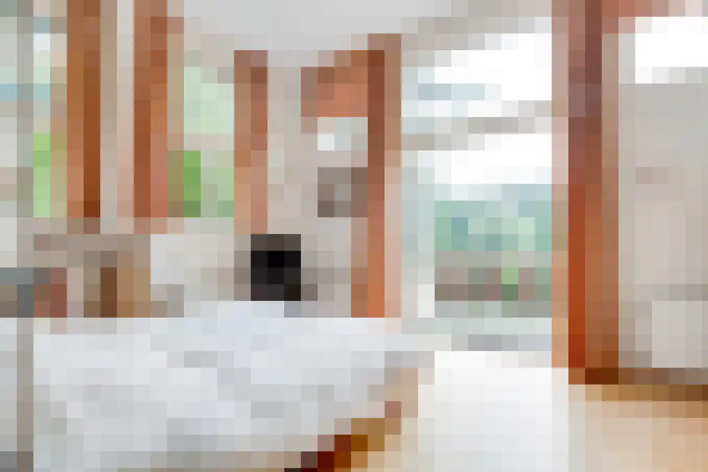 Duinweg 40 Bosch en Duin thumbnail 26
