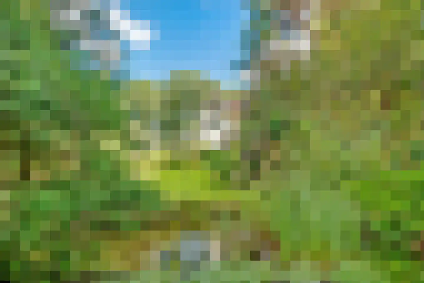 Duinweg 40 Bosch en Duin thumbnail 30