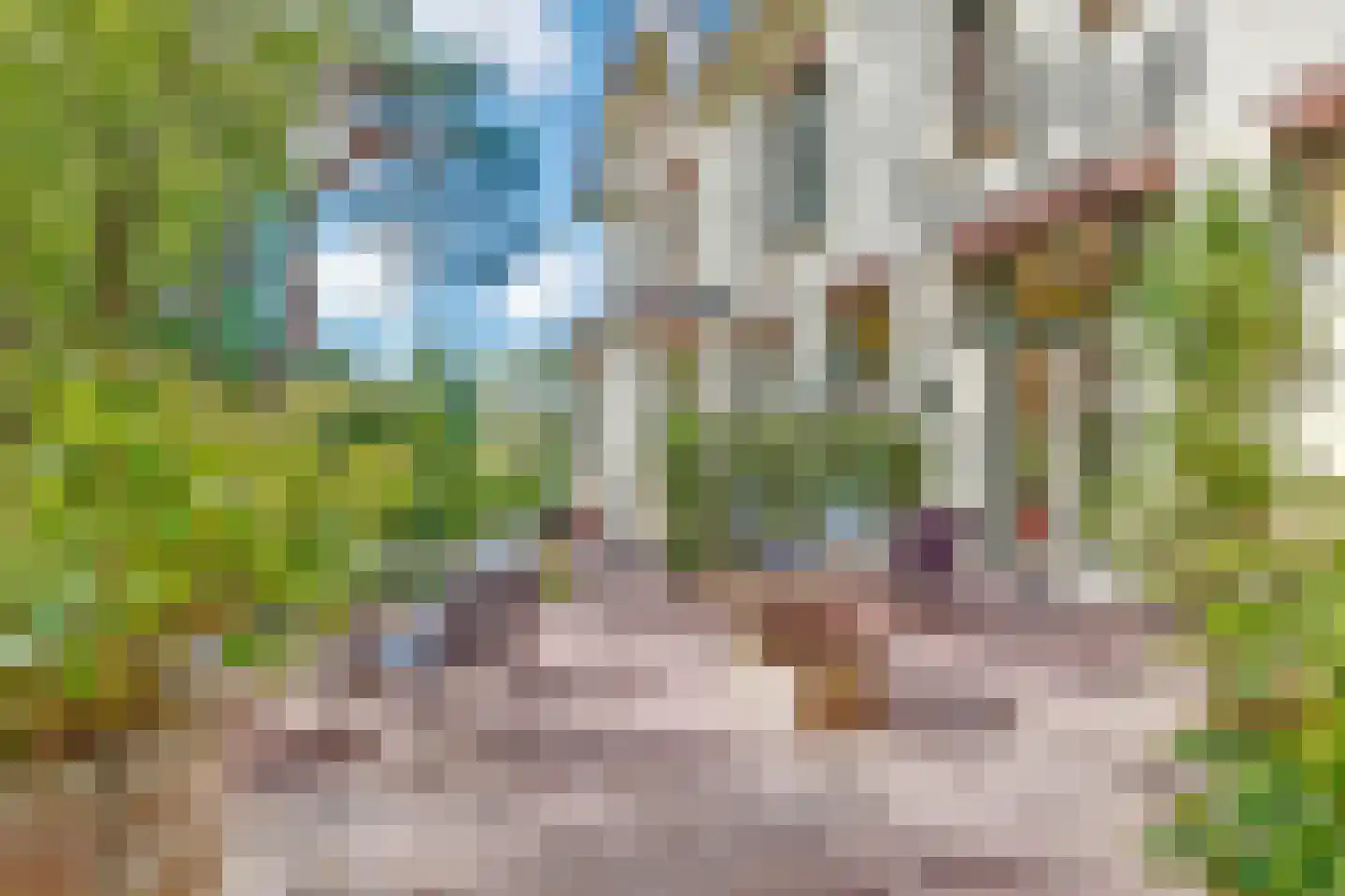 Duinweg 40 Bosch en Duin thumbnail 31