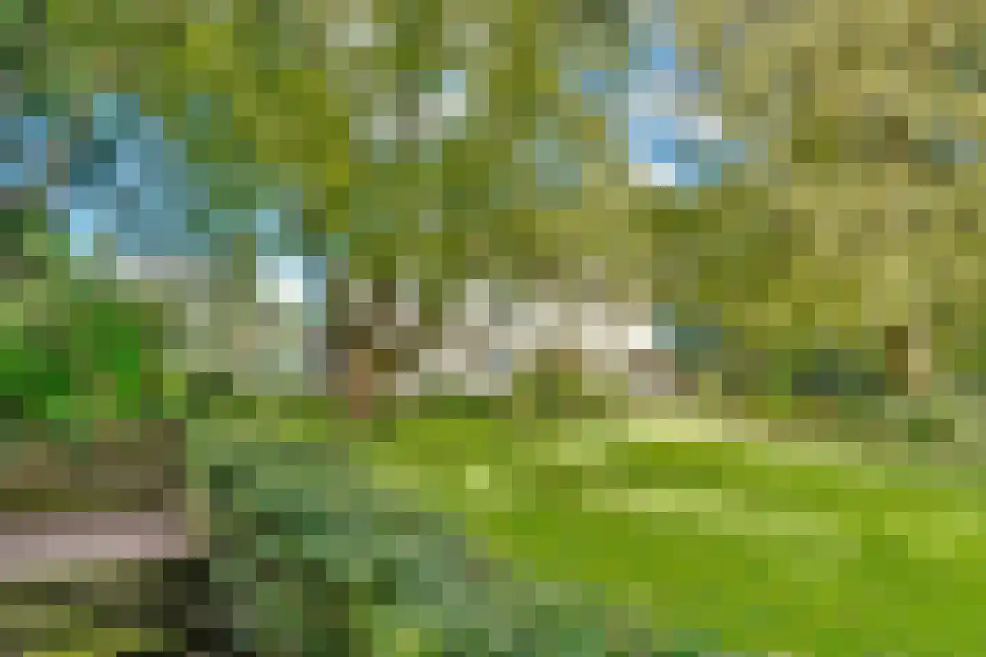 Duinweg 40 Bosch en Duin thumbnail 32