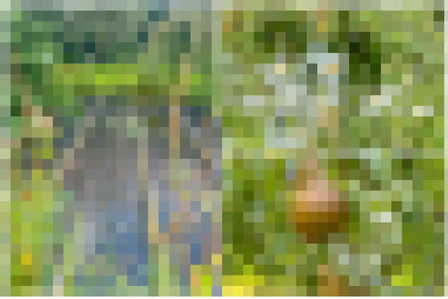 Duinweg 40 Bosch en Duin thumbnail 33