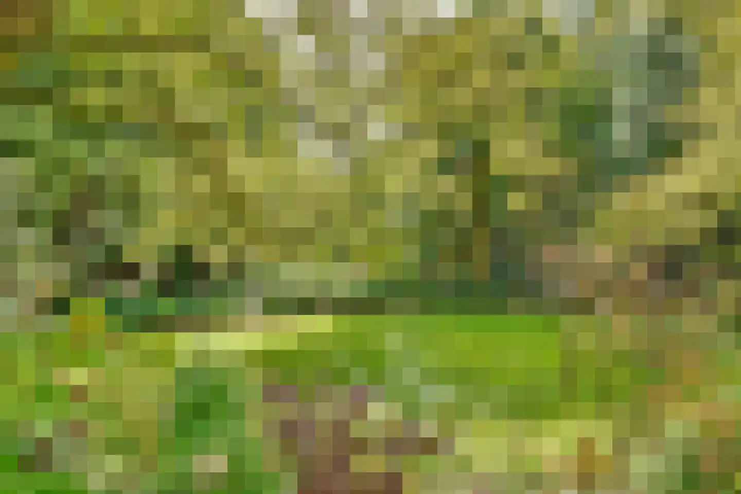 Duinweg 40 Bosch en Duin thumbnail 34