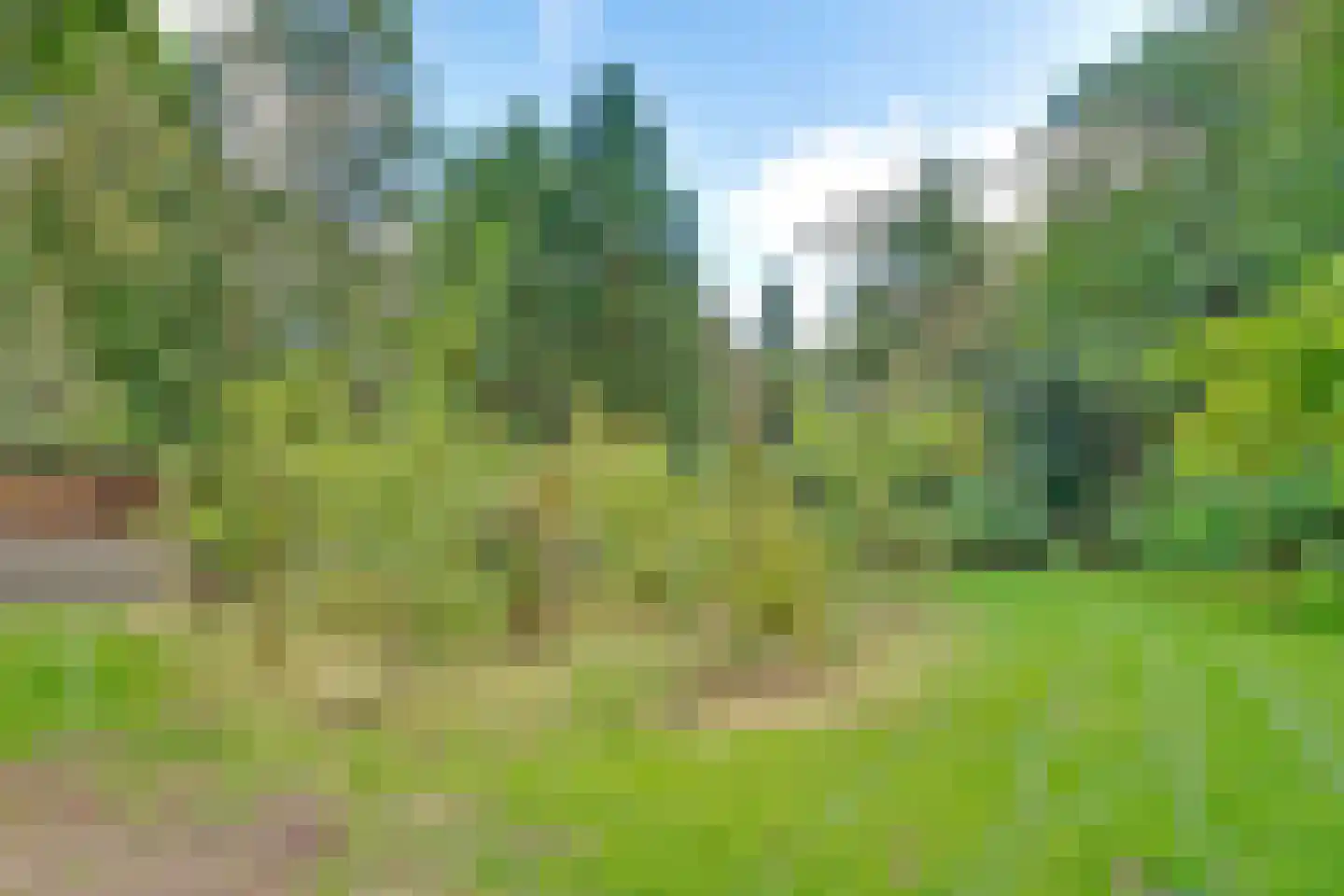 Duinweg 40 Bosch en Duin thumbnail 35