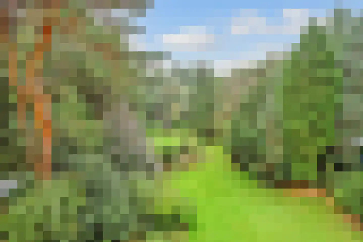 Duinweg 40 Bosch en Duin thumbnail 36