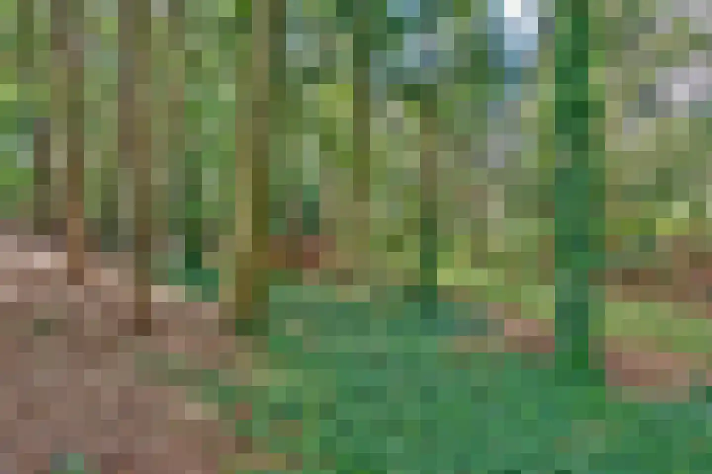 Duinweg 40 Bosch en Duin thumbnail 38