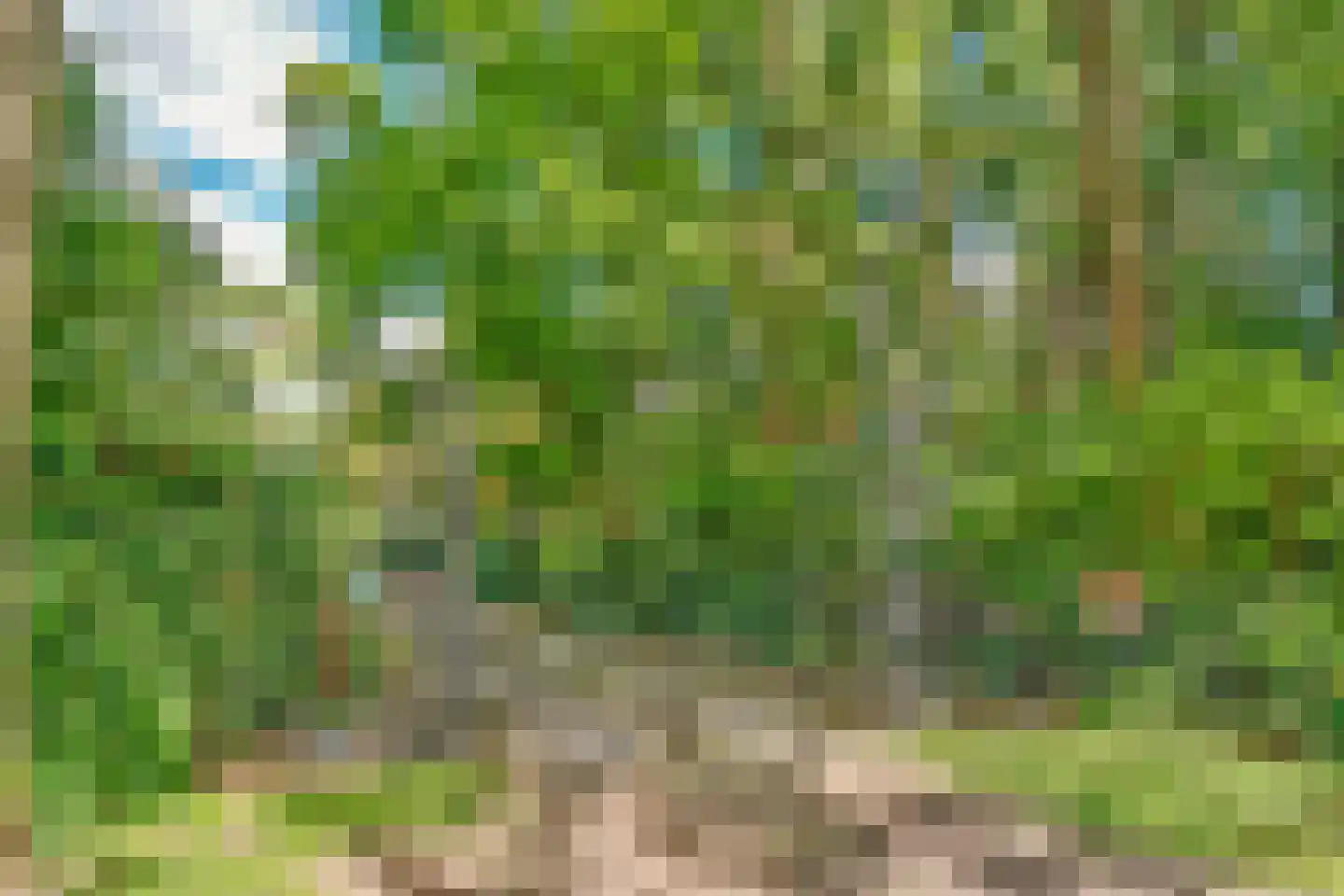 Duinweg 40 Bosch en Duin thumbnail 39