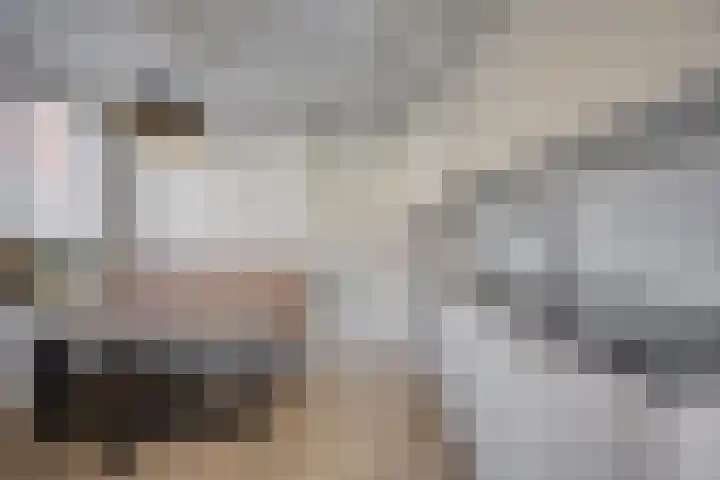 Duinweg 41 Zoutelande thumbnail 31