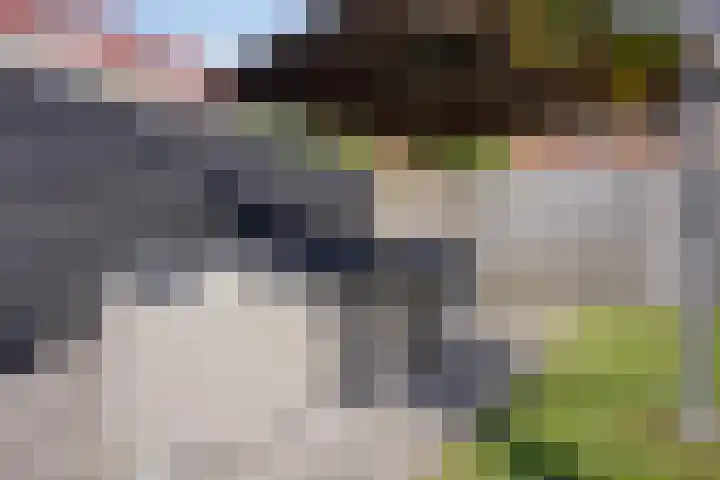 Duinweg 41 Zoutelande thumbnail 37