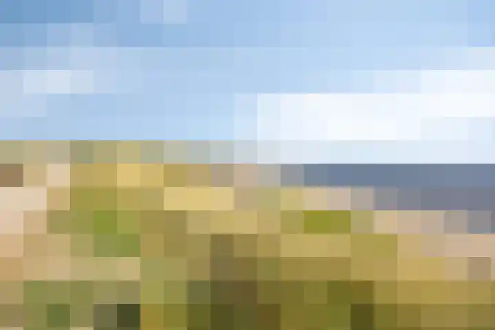 Duinweg 41 Zoutelande thumbnail 40