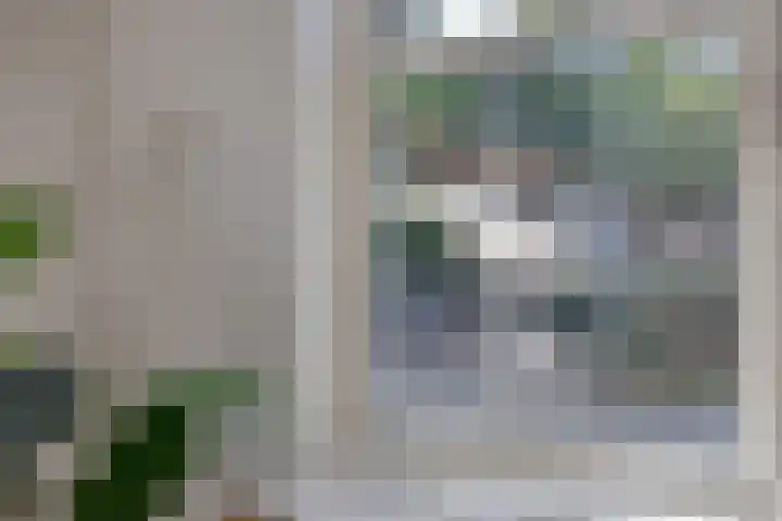 Duinweg 41 Zoutelande thumbnail 8