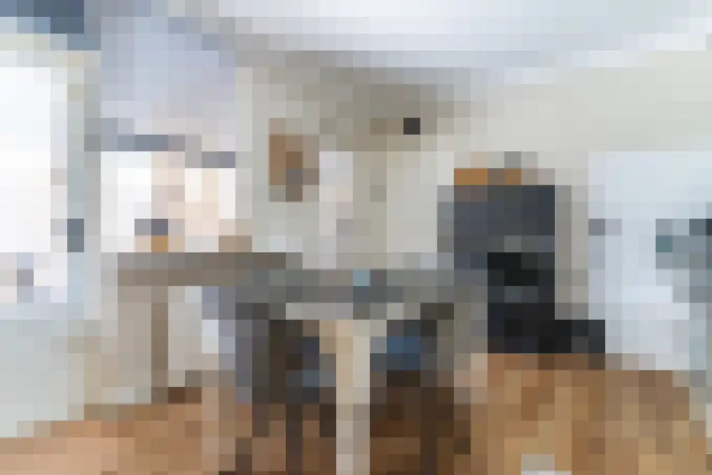 Duinweg 5 Nunspeet thumbnail 16