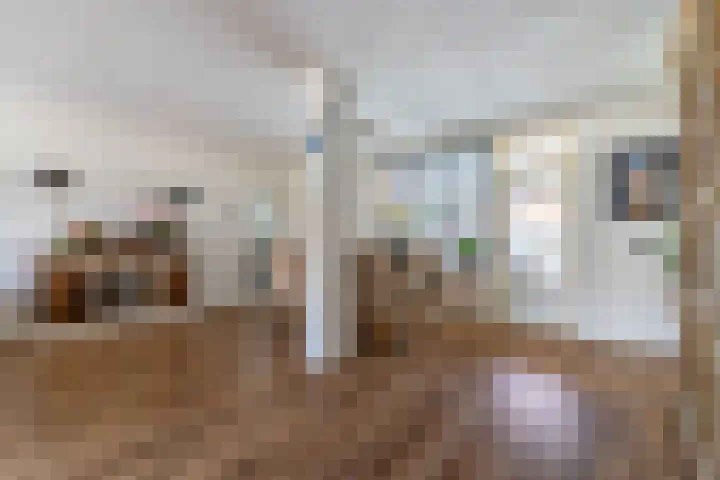Duinweg 5 Nunspeet thumbnail 9
