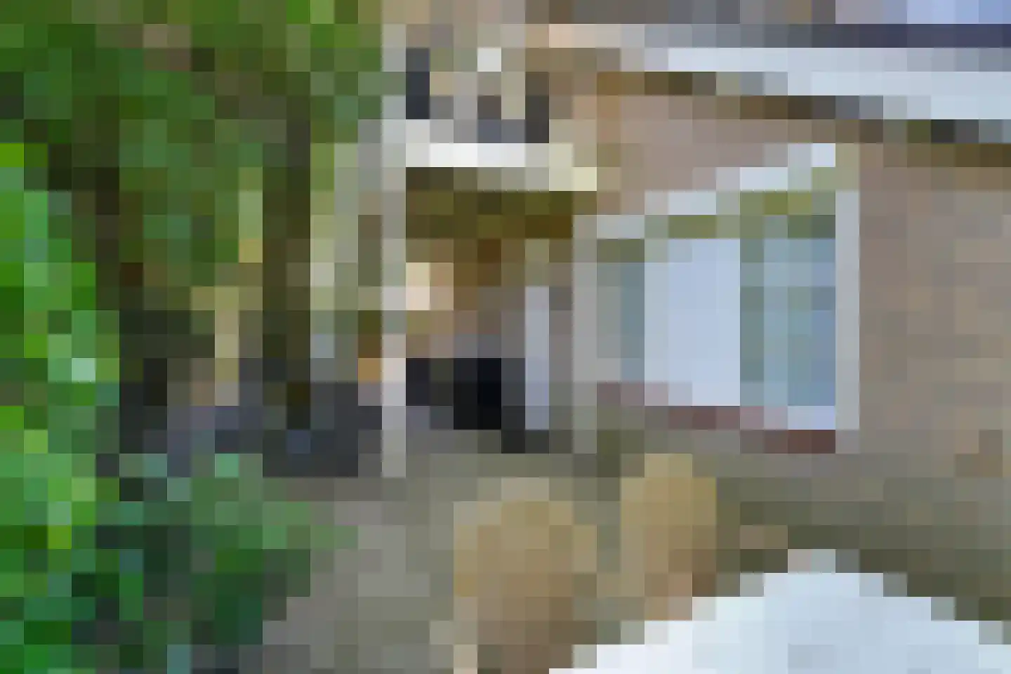Duinweg 50 Oostkapelle thumbnail 22