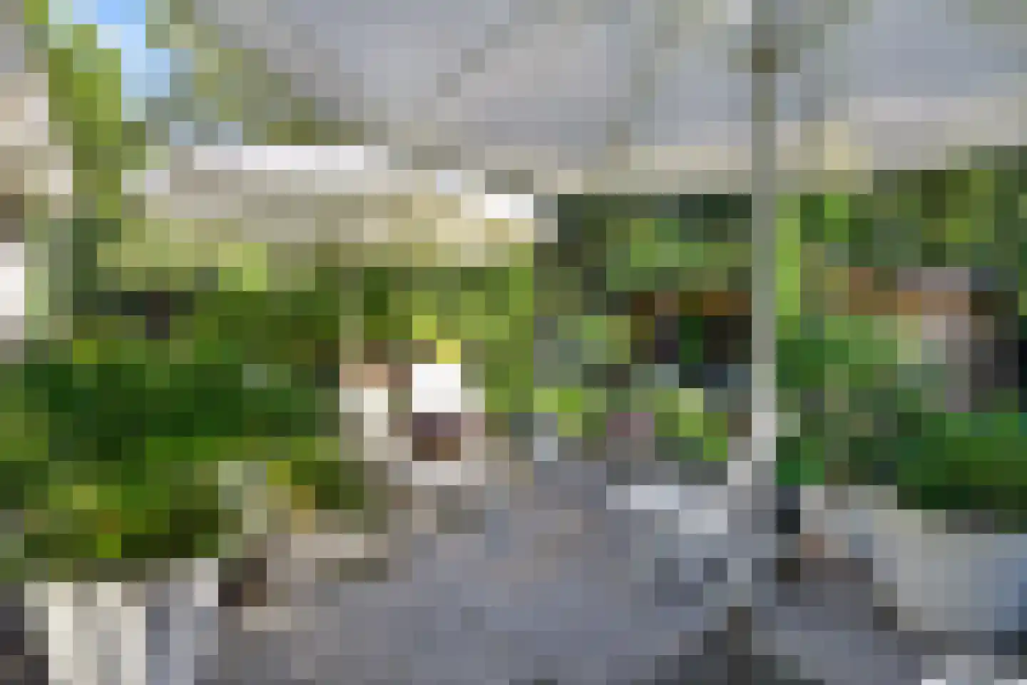 Duinweg 50 Oostkapelle thumbnail 45