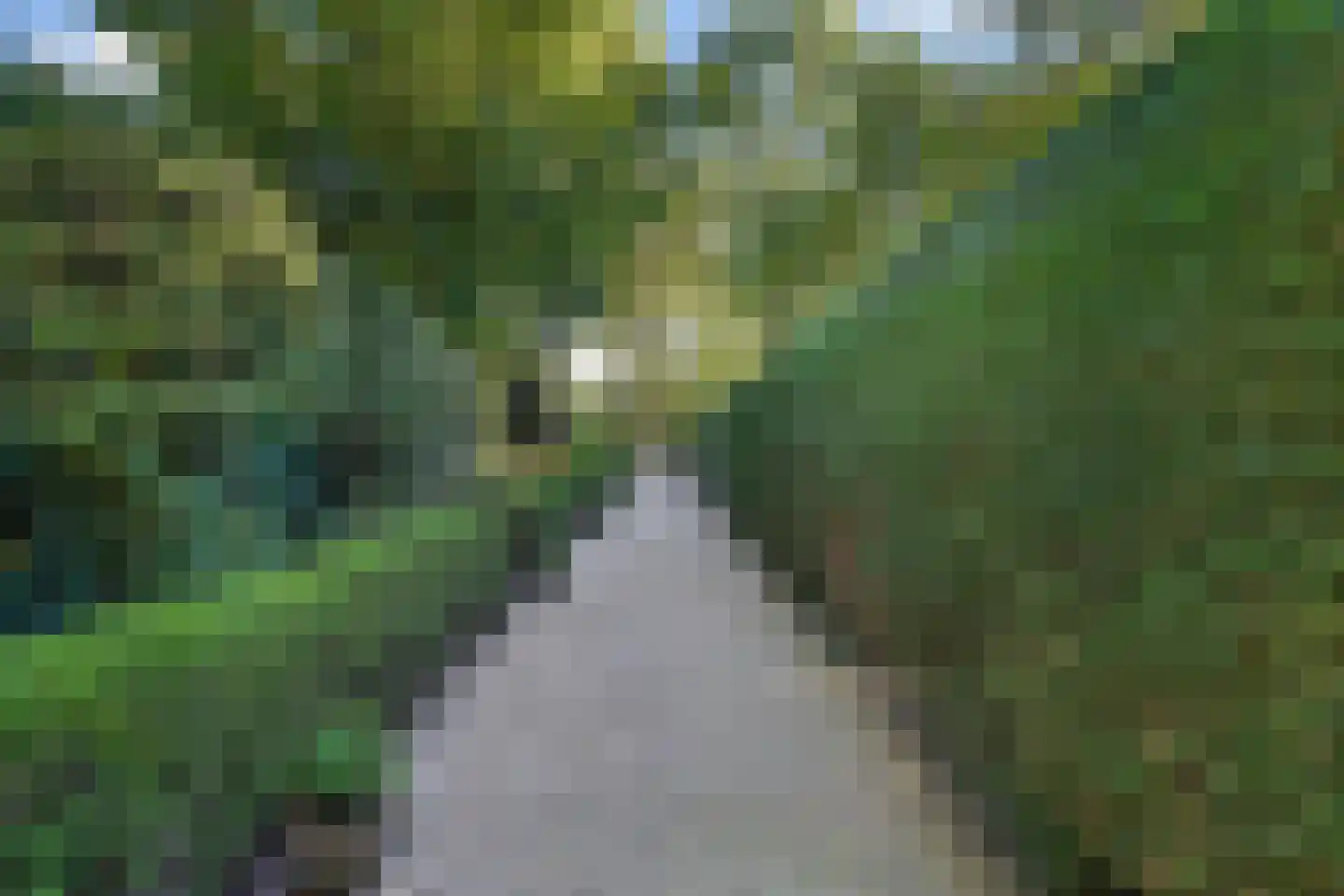 Duinweg 50 Oostkapelle thumbnail 50