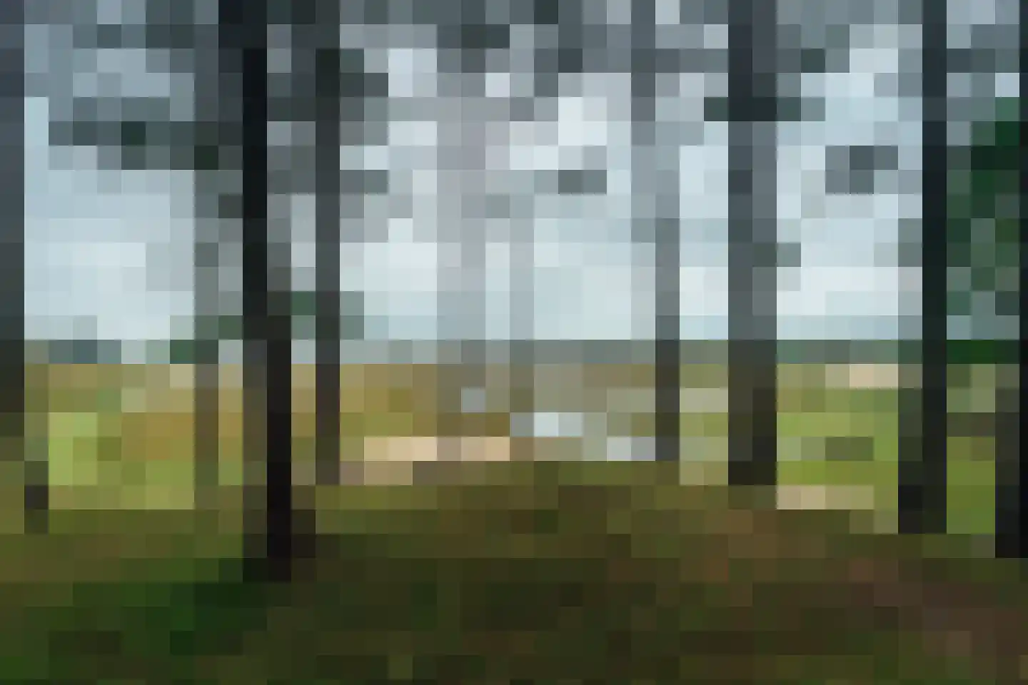 Duinweg 50 Oostkapelle thumbnail 53