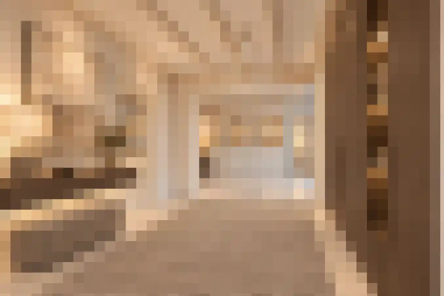 Duinweg 50 Oostkapelle thumbnail 6