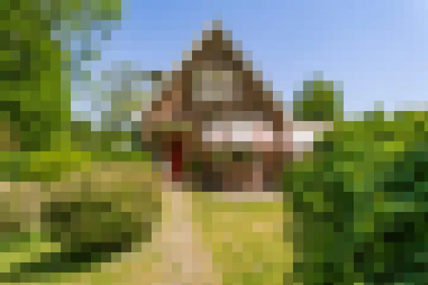 Duinweg 53 Schoorl thumbnail 24