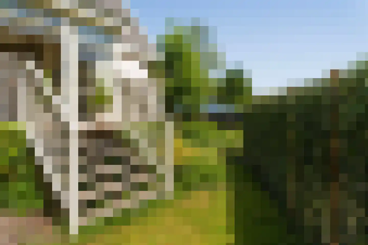 Duinweg 53 Schoorl thumbnail 26