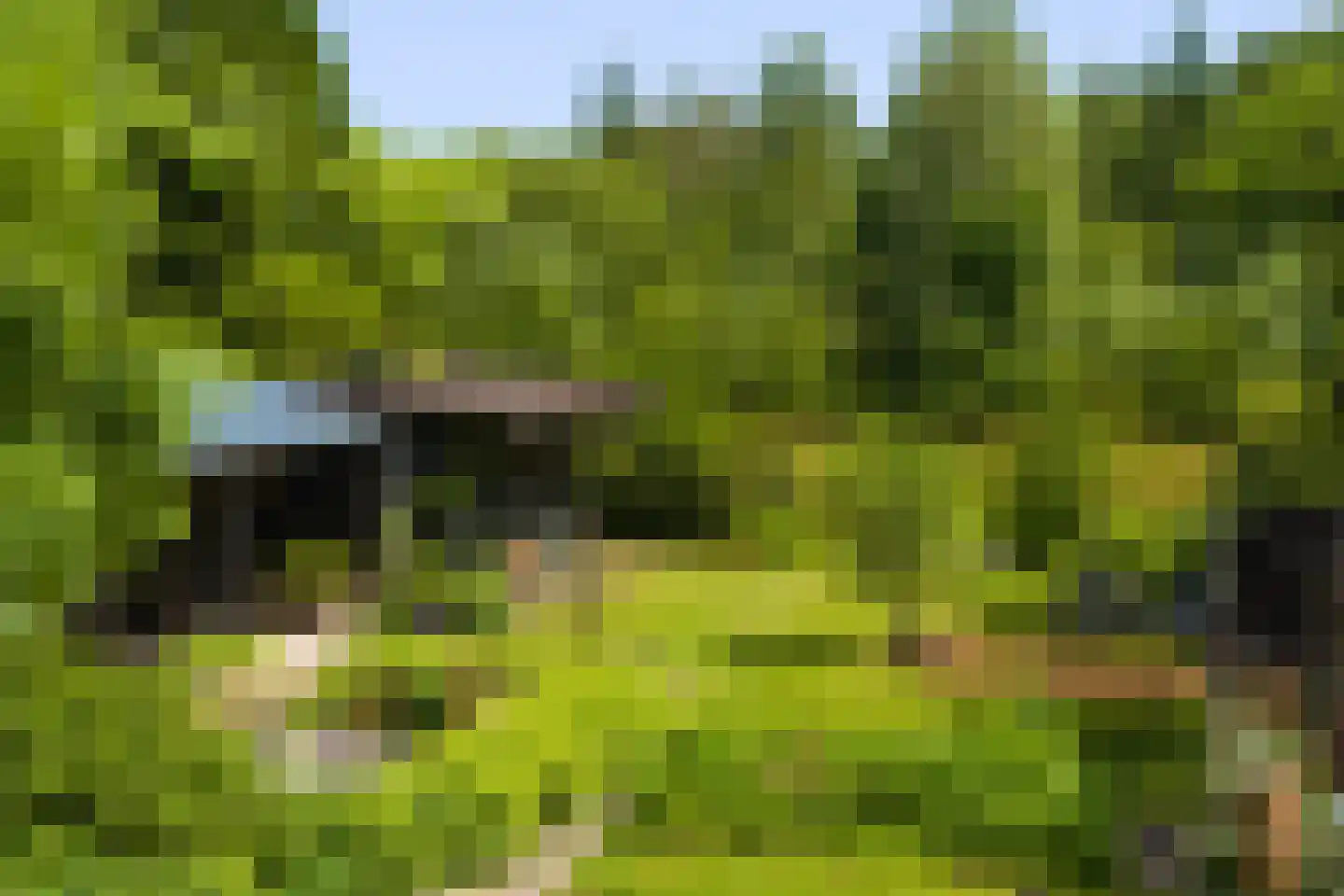 Duinweg 53 Schoorl thumbnail 27