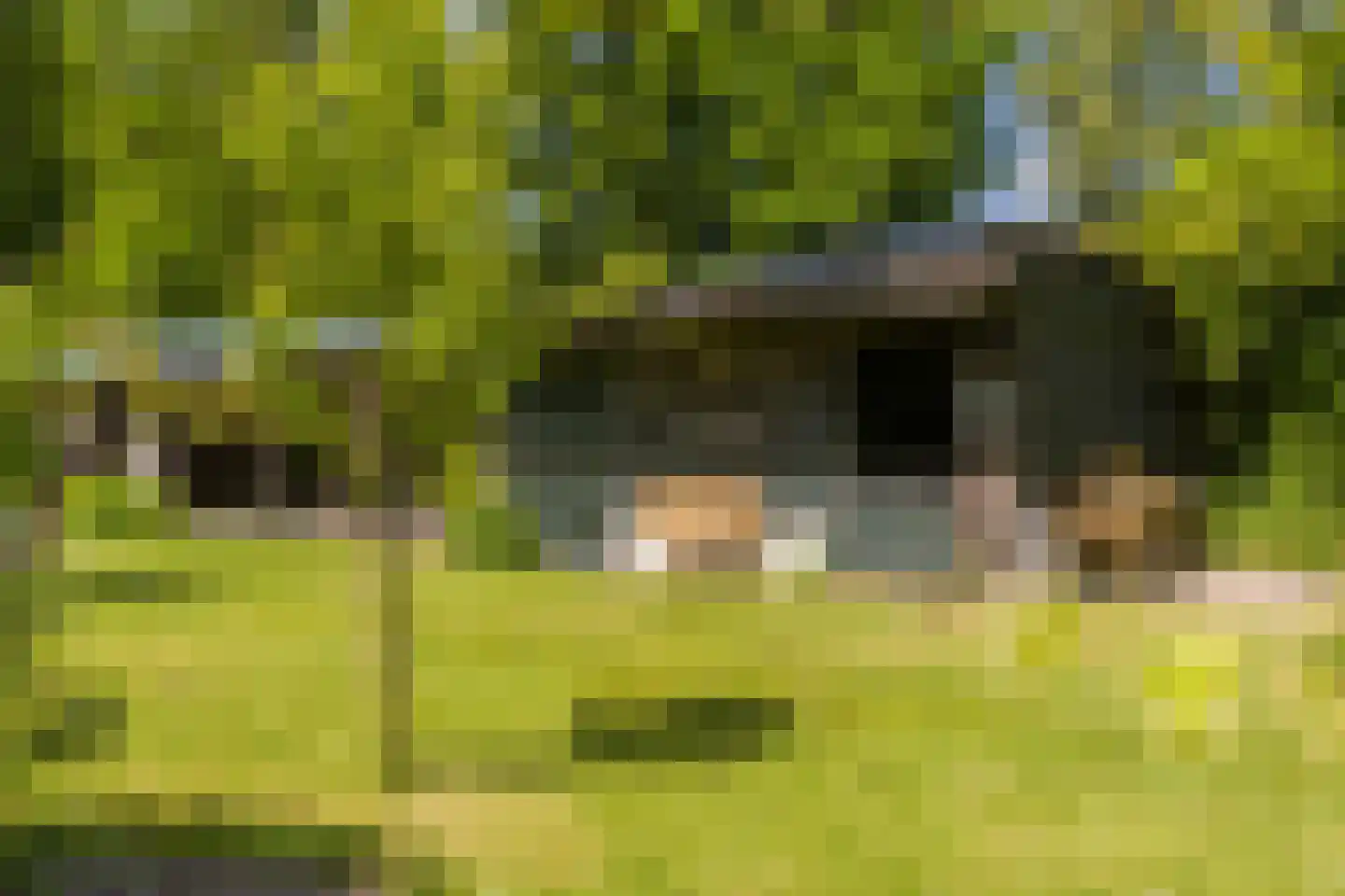 Duinweg 53 Schoorl thumbnail 29