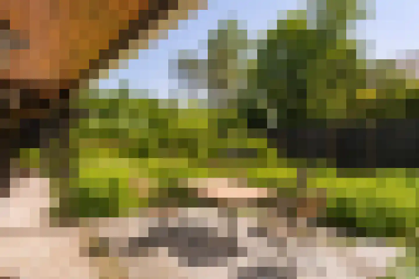 Duinweg 53 Schoorl thumbnail 30
