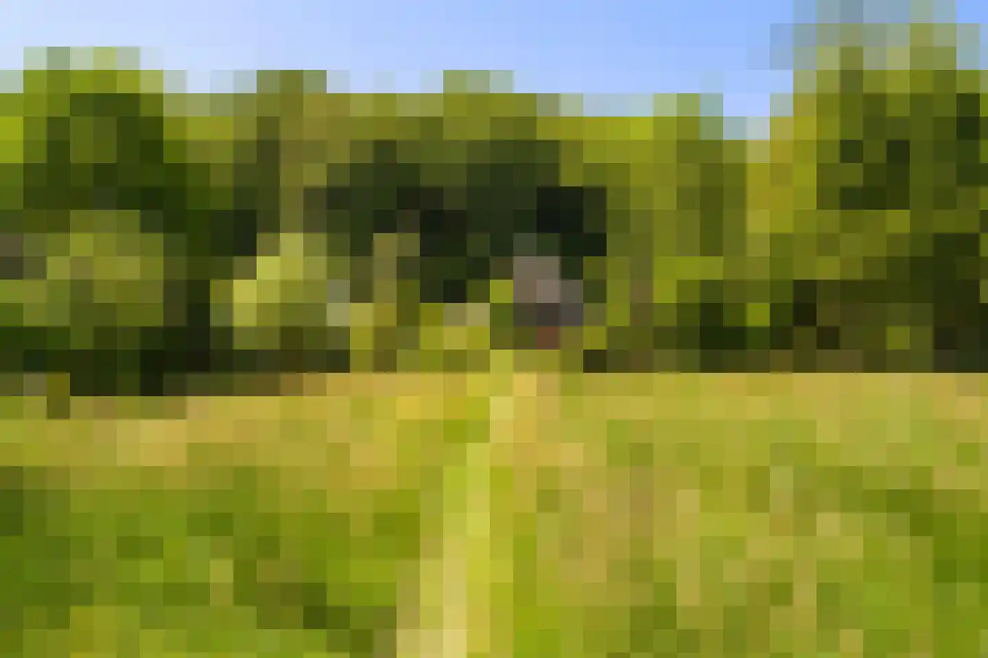 Duinweg 53 Schoorl thumbnail 31
