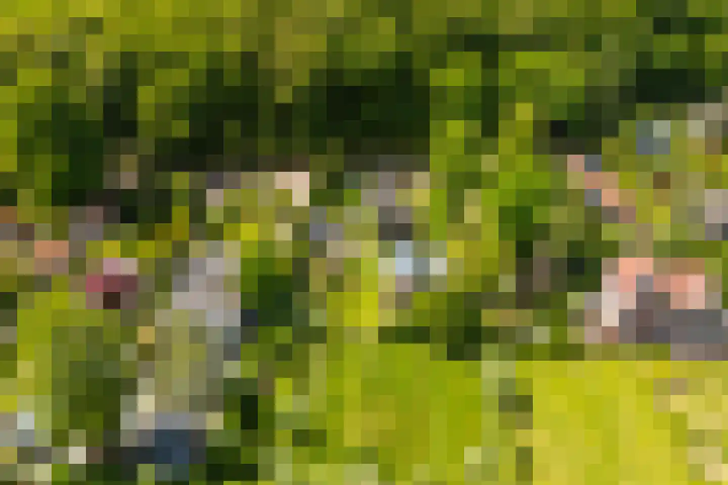 Duinweg 53 Schoorl thumbnail 32