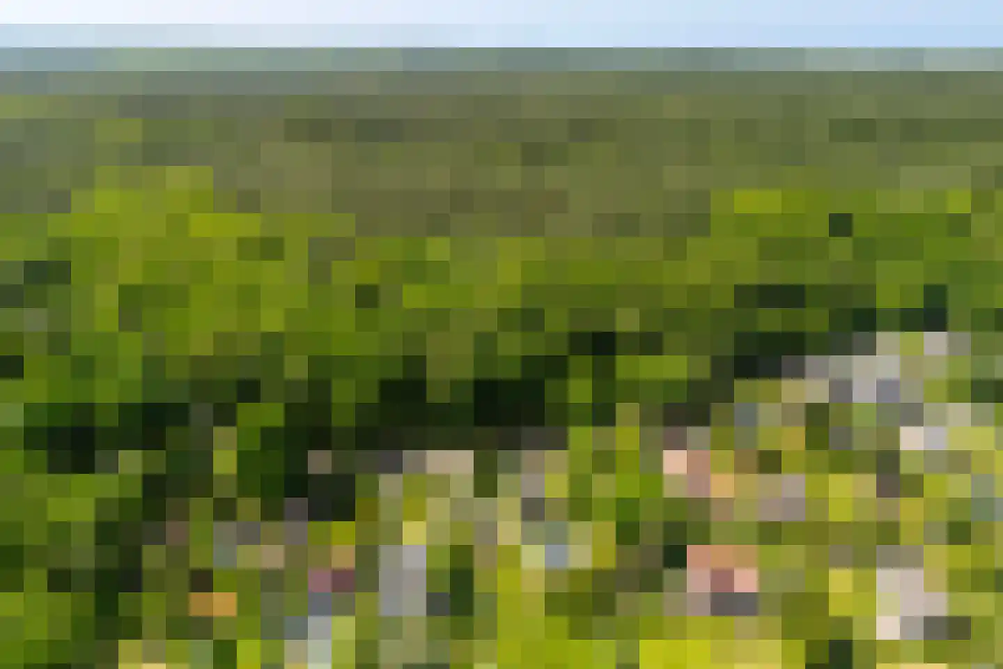 Duinweg 53 Schoorl thumbnail 33