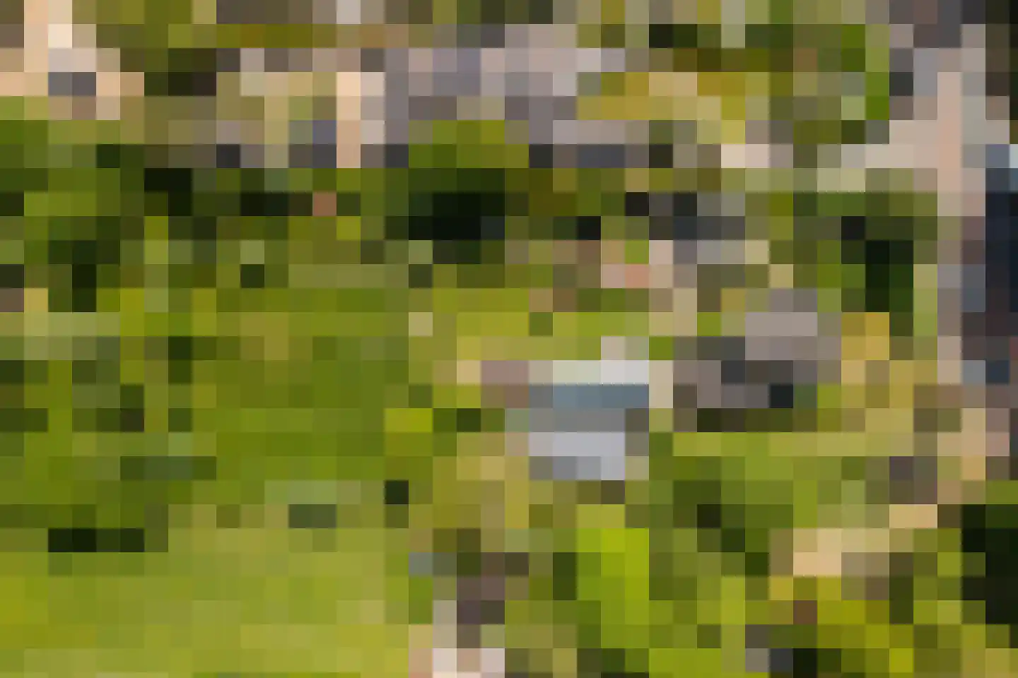 Duinweg 53 Schoorl thumbnail 34