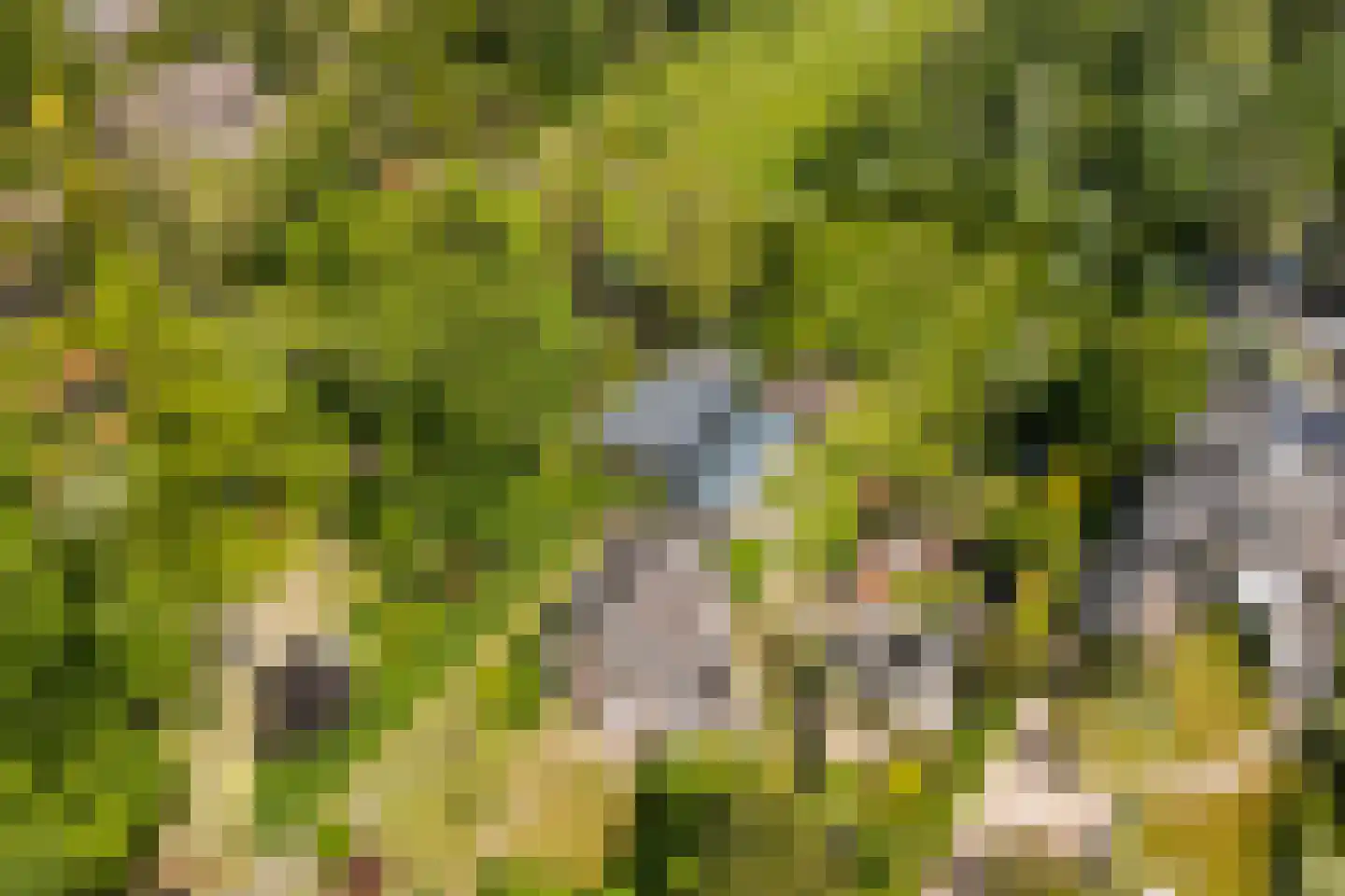Duinweg 53 Schoorl thumbnail 36