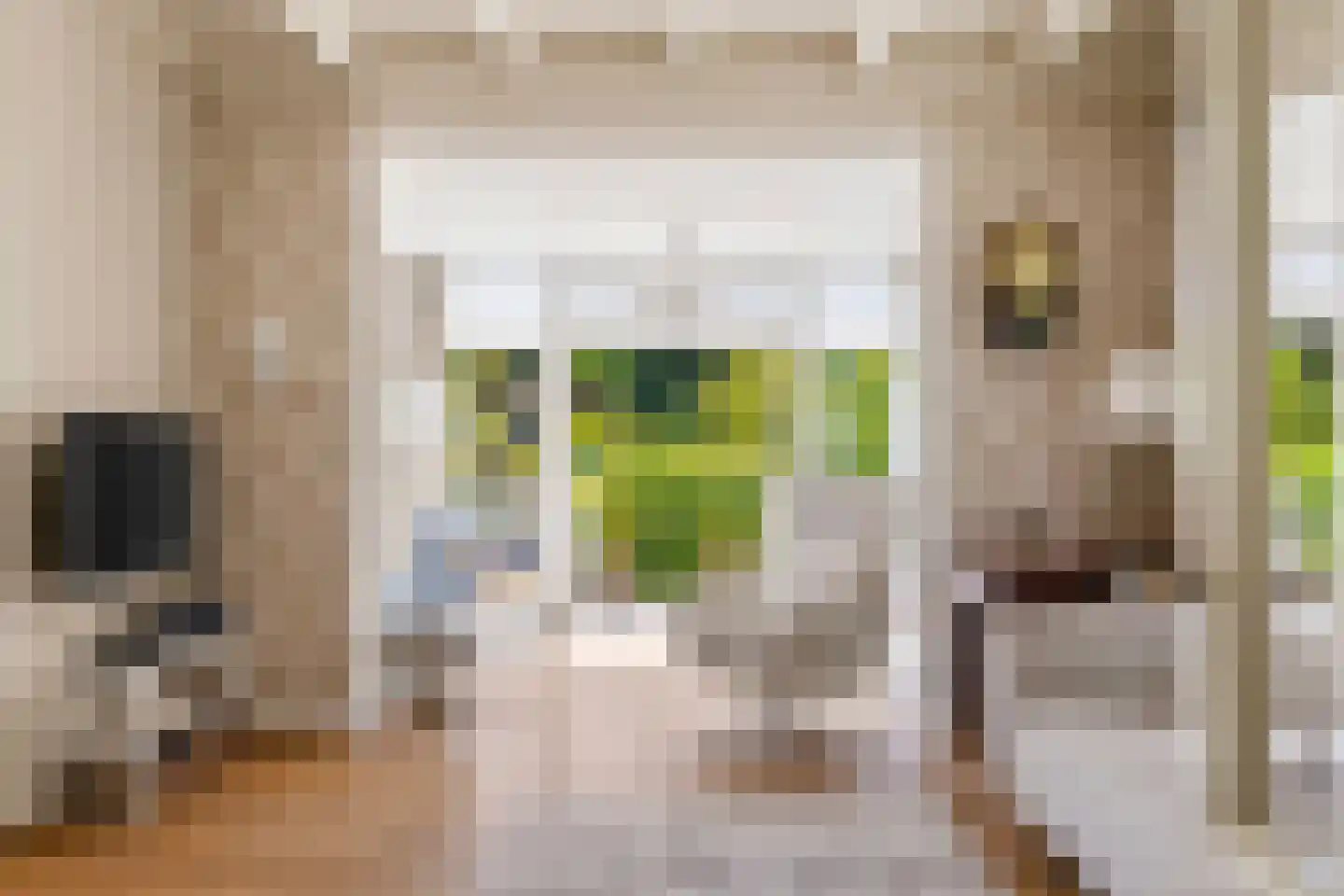 Duinweg 53 Schoorl thumbnail 6